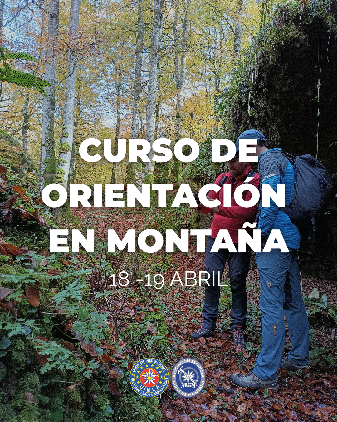 Curso de orientación